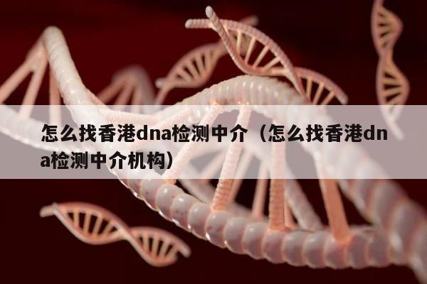怎么找香港dna检测中介(怎么找香港dna检测中介机构)