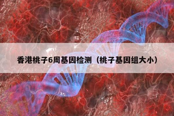 香港桃子6周基因检测(桃子基因组大小)