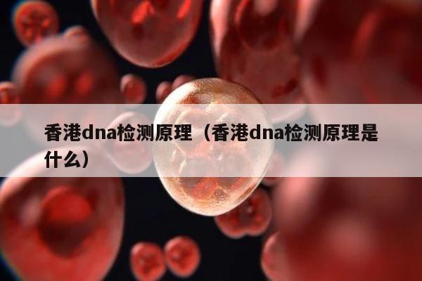 香港dna检测原理(香港dna检测原理是什么)
