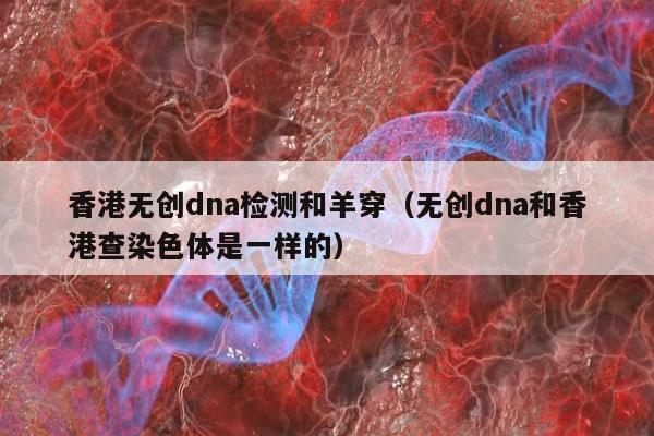 香港无创dna检测和羊穿(无创dna和香港查染色体是一样的)